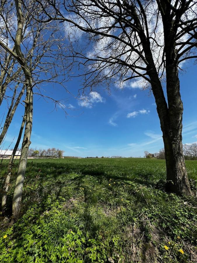 Kroghojgard Middelfart Dış mekan fotoğraf